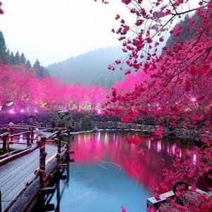 Meet your Posher, Martha